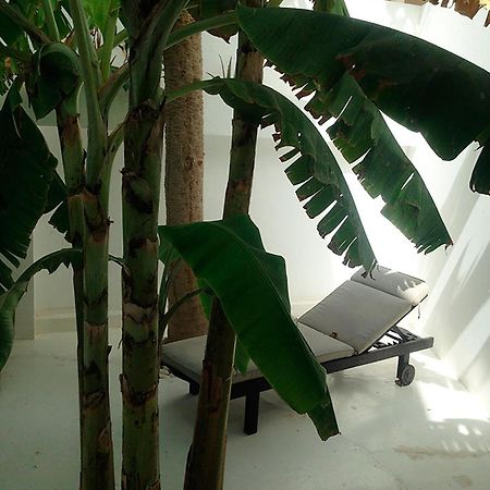 Casa Branca Ξενοδοχείο Μιντέλο Εξωτερικό φωτογραφία